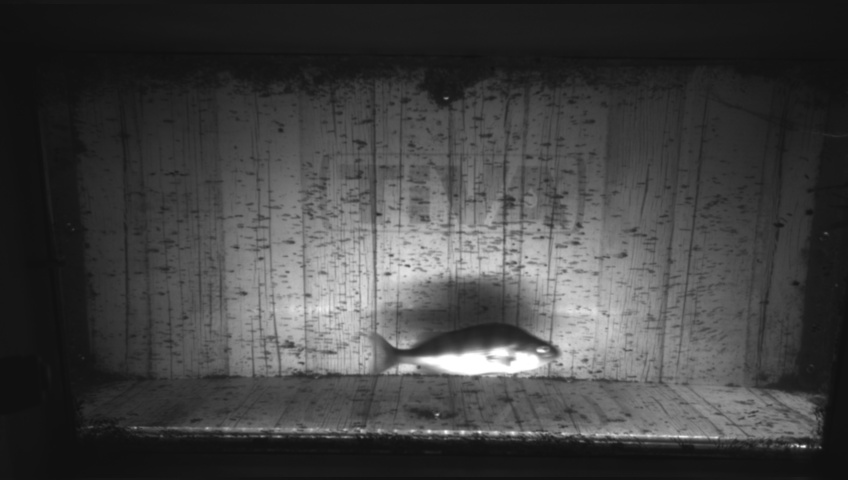 Video 2026-09-05 06:49
