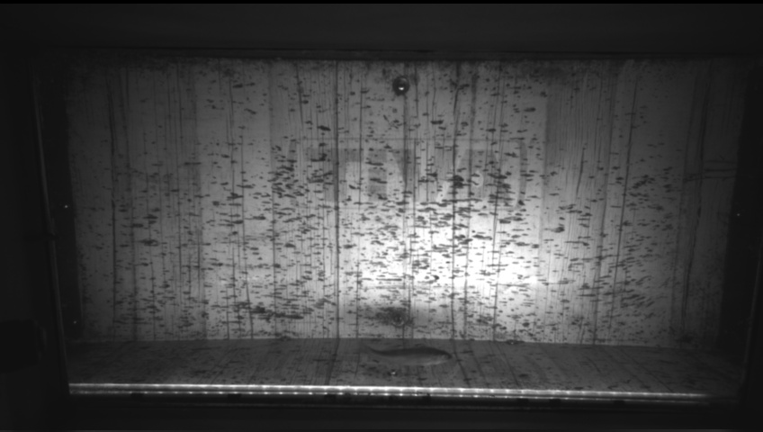 Video 2026-09-21 06:36