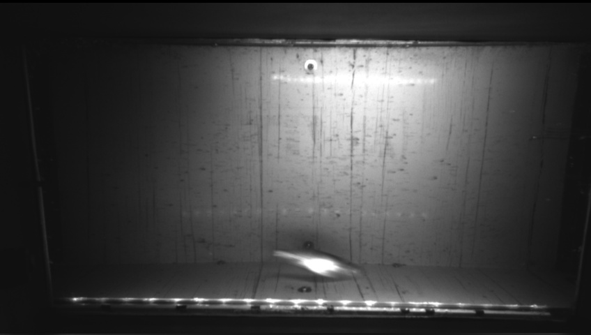 Video 2026-09-21 03:10