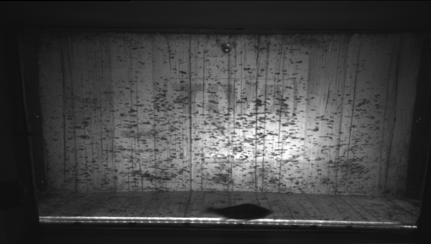 Video 2026-09-27 18:01