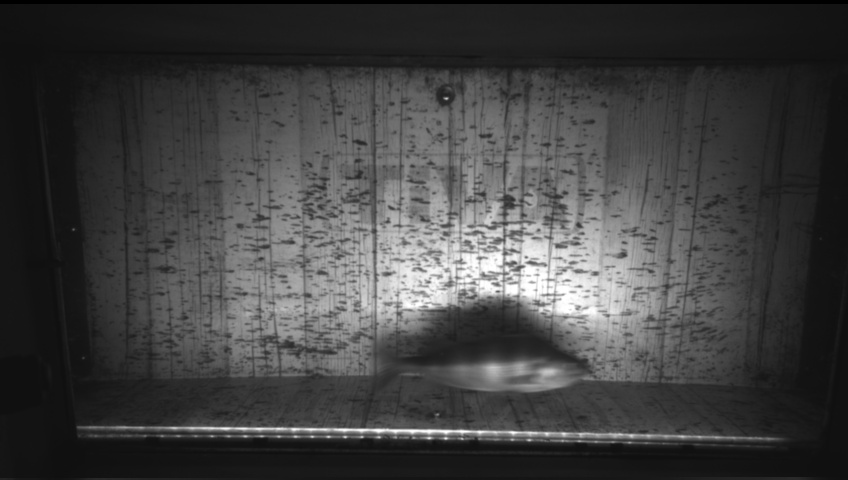 Video 2026-09-21 06:34