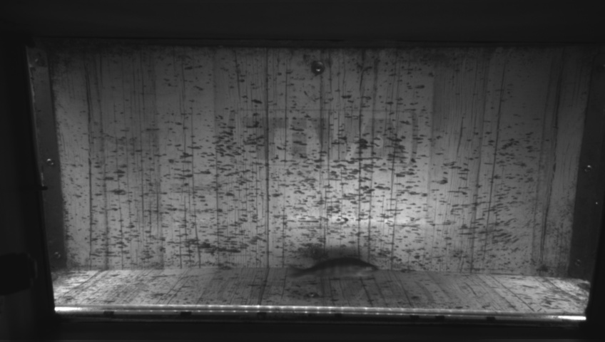 Video 2026-09-22 15:09