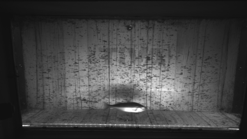 Video 2026-09-16 14:21