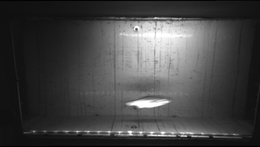Video 2026-09-16 19:18