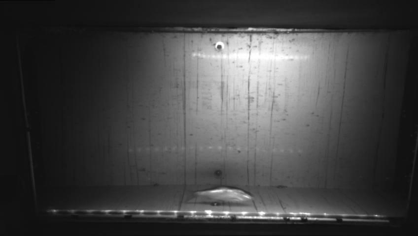 Video 2026-09-16 04:25