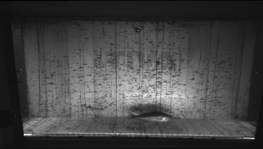 Video 2026-09-16 15:24