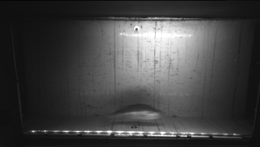 Video 2026-09-22 19:15