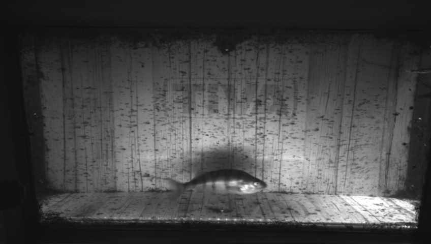 Video 2026-09-05 08:48