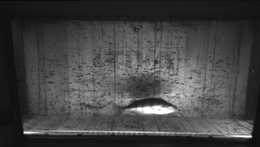 Video 2026-09-24 10:52