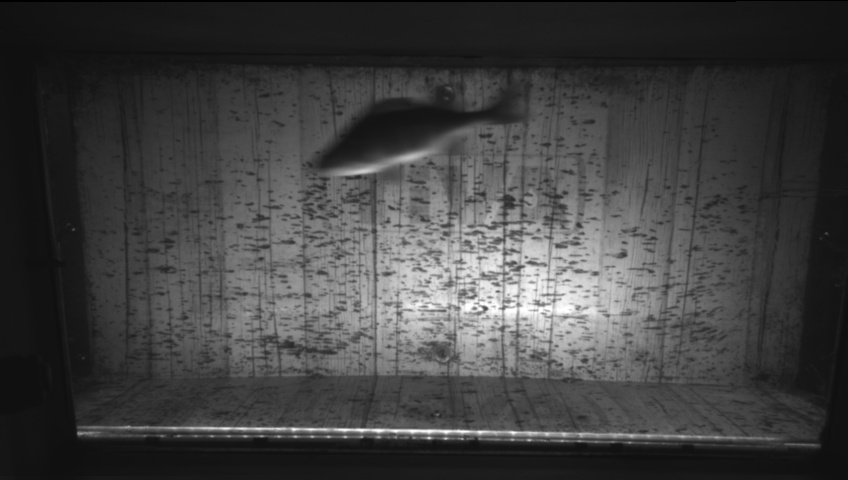 Video 2026-09-21 17:50
