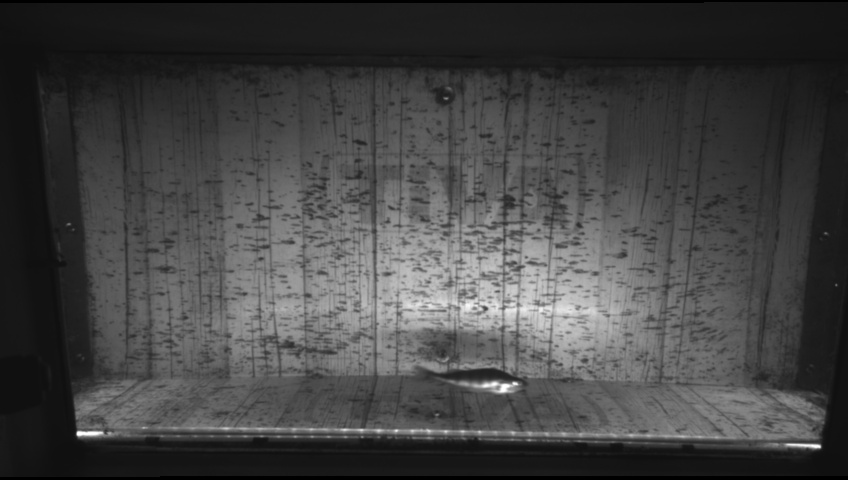 Video 2026-09-16 15:51