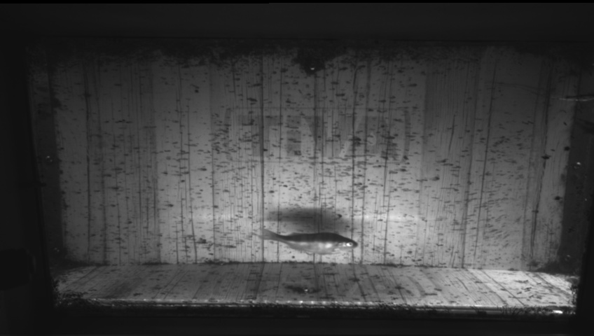 Video 2026-09-05 08:17