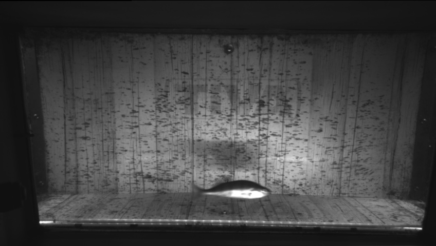 Video 2026-09-17 14:27