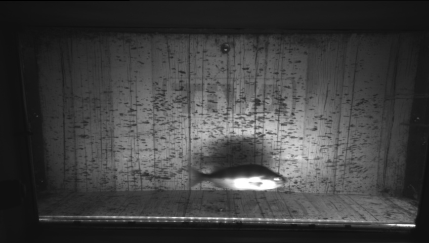 Video 2026-09-20 08:16