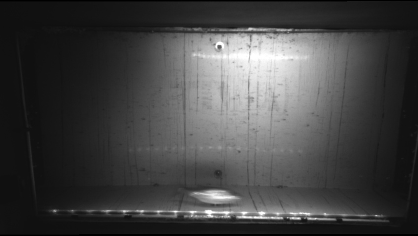 Video 2026-09-16 21:00