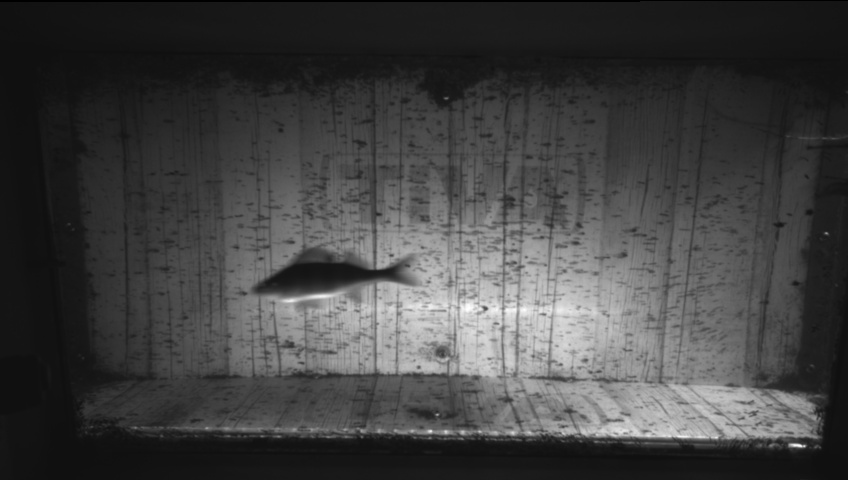 Video 2026-09-05 07:47