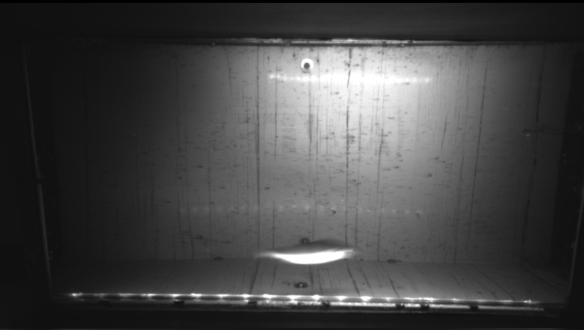 Video 2026-09-20 06:14