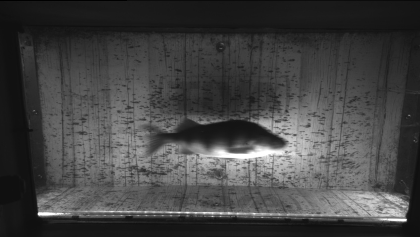 Video 2026-09-21 13:46