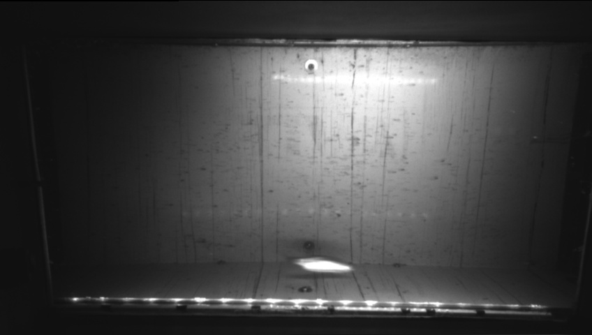 Video 2026-09-21 23:27