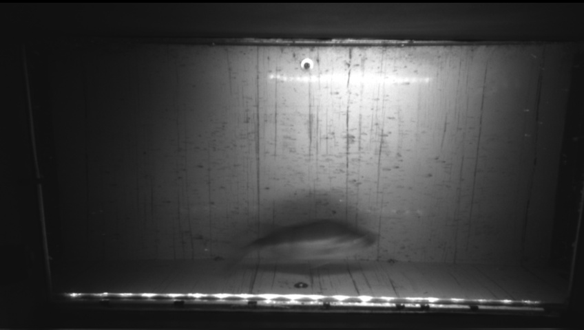 Video 2026-09-25 19:11