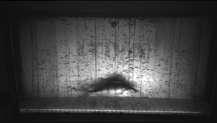 Video 2026-09-16 06:59