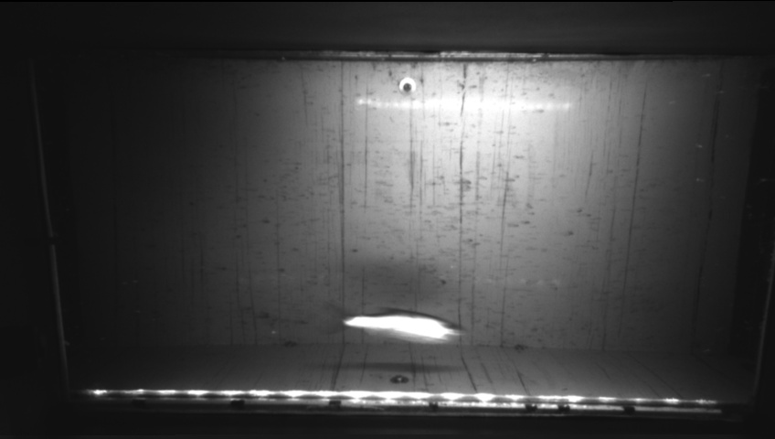 Video 2026-09-26 21:01