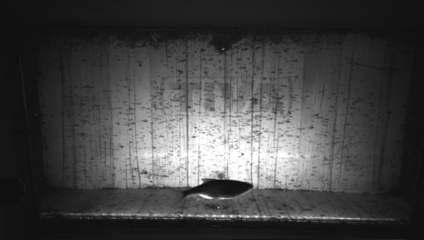 Video 2026-09-05 05:58