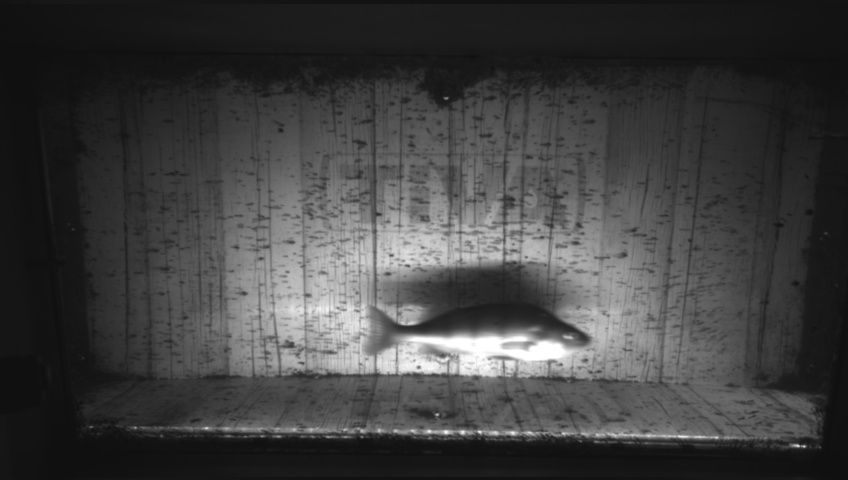 Video 2026-09-05 06:41