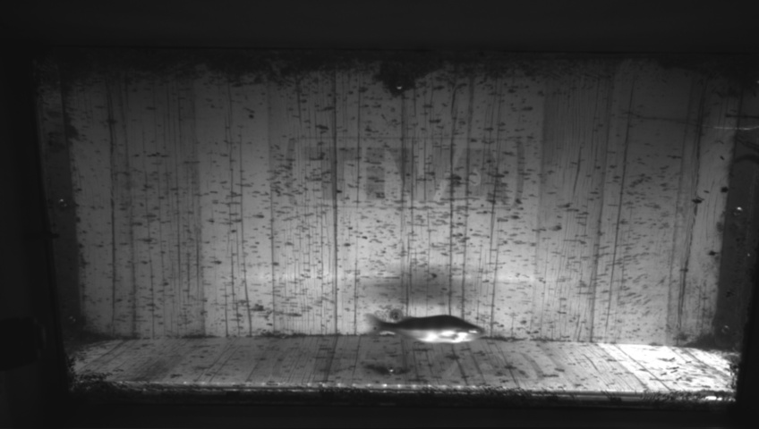 Video 2026-09-05 09:08