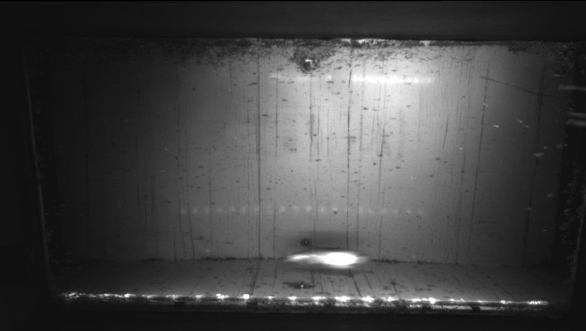 Video 2026-09-05 05:10