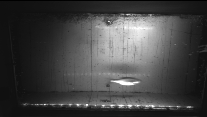 Video 2026-09-05 05:08