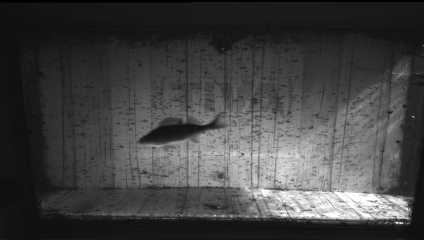 Video 2026-09-05 08:06
