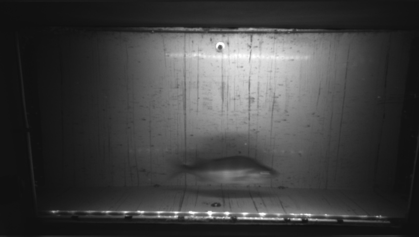 Video 2026-09-19 19:25