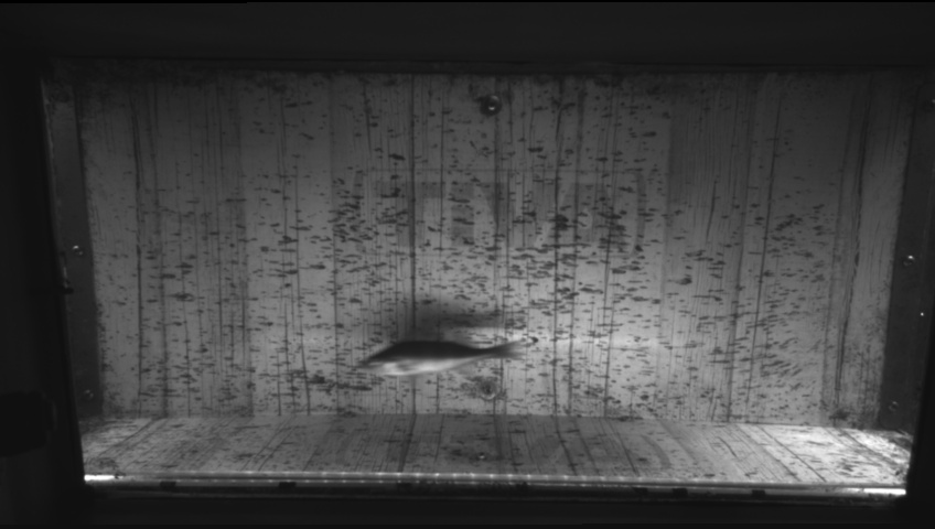 Video 2026-09-16 11:54