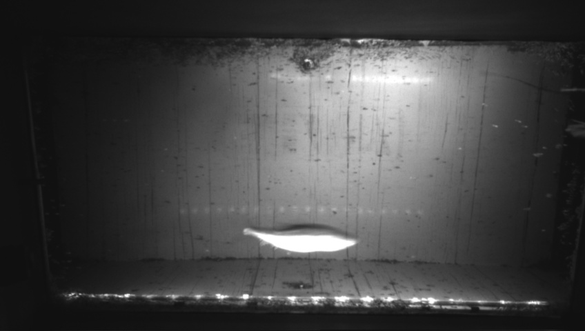 Video 2026-09-05 05:20