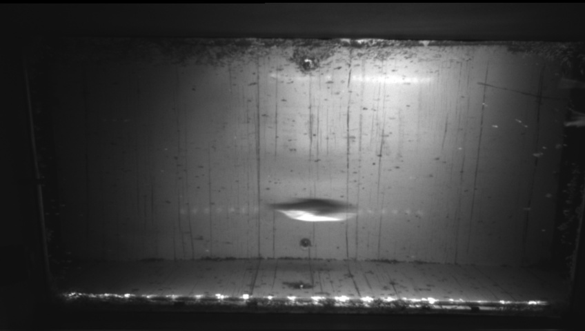 Video 2026-09-05 05:15