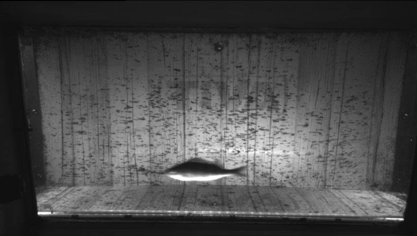 Video 2026-09-17 13:46