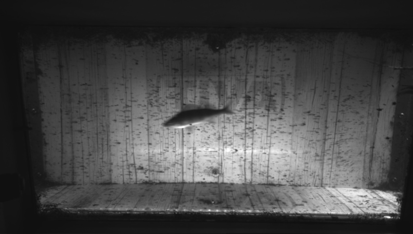 Video 2026-09-05 08:26