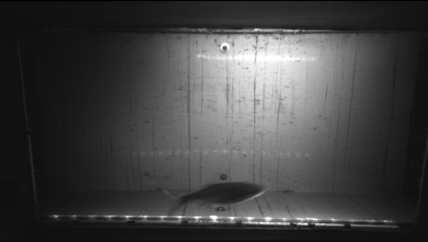 Video 2026-09-16 21:29