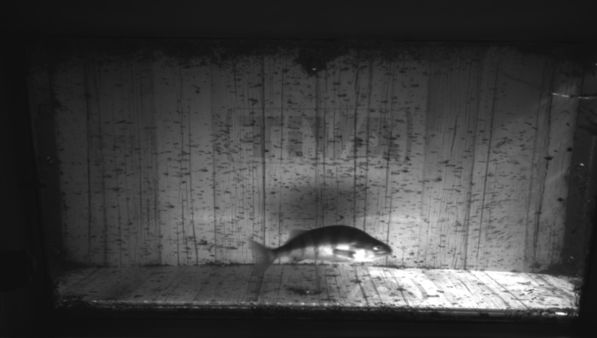 Video 2026-09-05 07:41