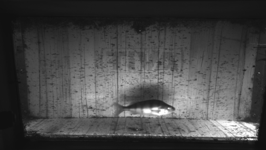 Video 2026-09-05 10:54
