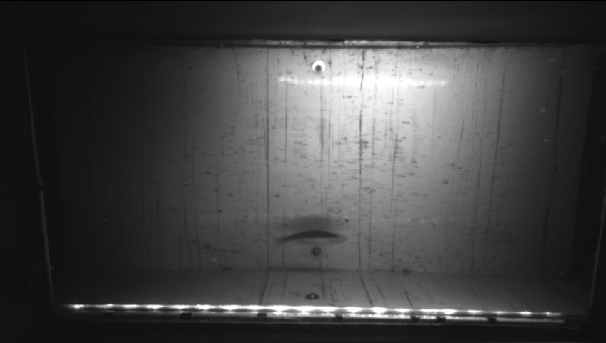 Video 2026-09-27 06:22