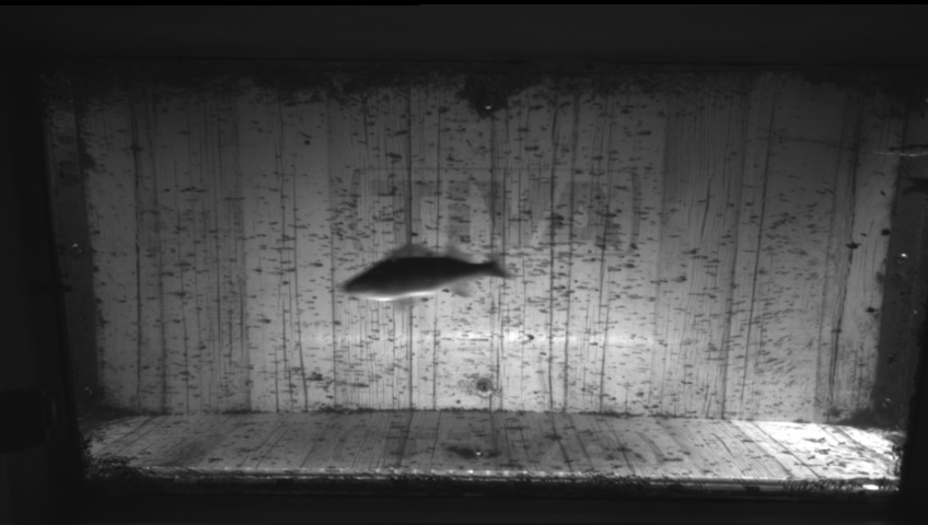 Video 2026-09-05 09:31
