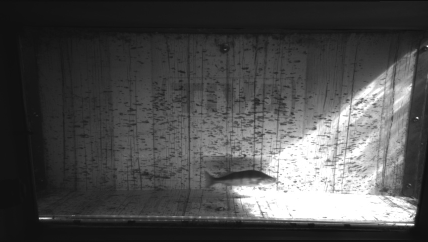 Video 2026-09-17 08:03