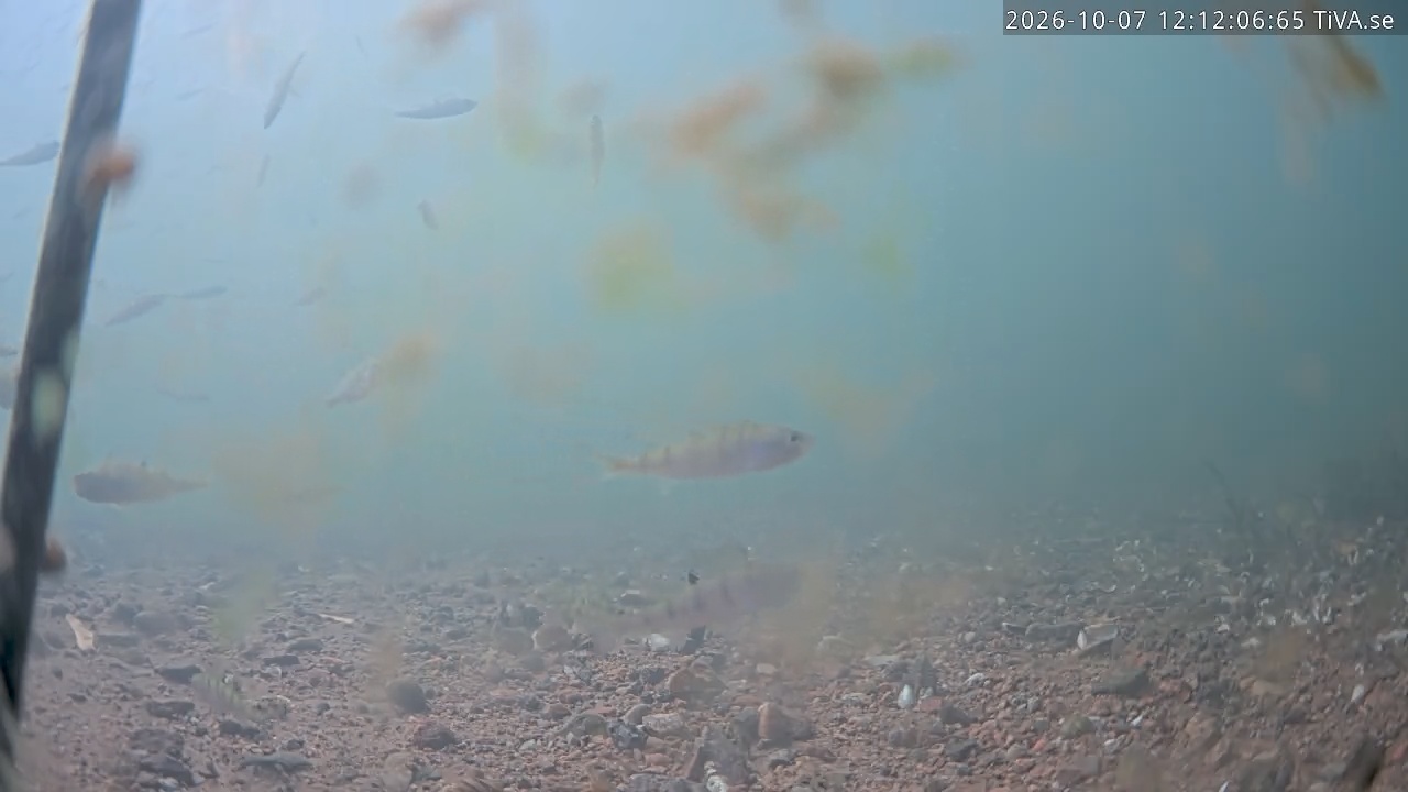 Video 2026-10-07 12:12