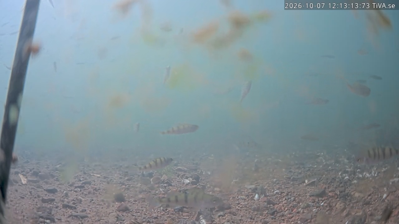 Video 2026-10-07 12:13