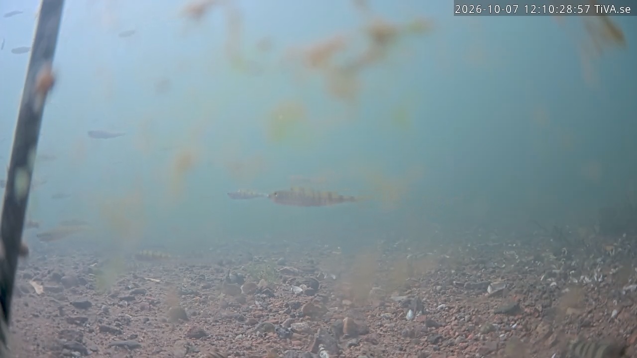 Video 2026-10-07 12:10