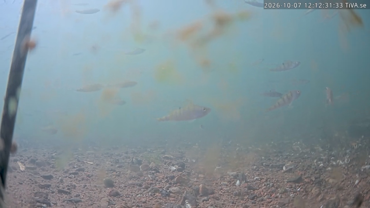 Video 2026-10-07 12:12