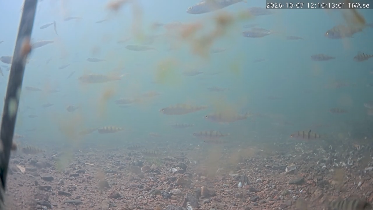 Video 2026-10-07 12:10