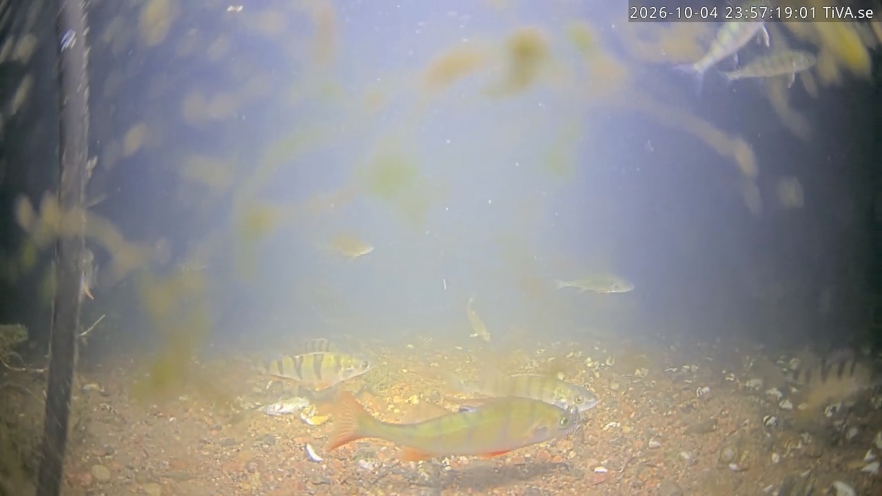 Video 2026-10-04 23:57